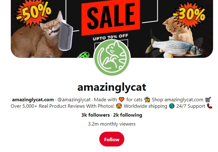 AmazinglyCat Pinterest profile