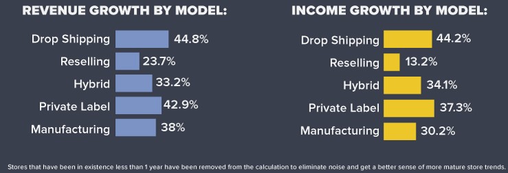 Dropshipping income and revenue growth