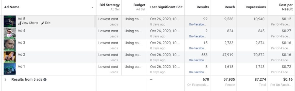 The Facebook lead ads results