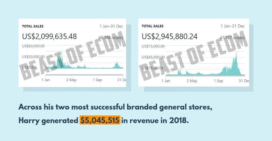 Dropshipping millionaire Harry Coleman generated $5 million from 3 stores